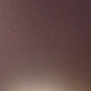 Meet your Posher, Burnis